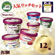 リッチセット ハーゲンダッツ 12個 6種 詰め合わせ ハーゲンダッツアイスクリーム セット ハーゲンダッツ…
