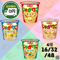 カルビー じゃがりこ 4種 食べ比べ セット 16個 32個 48個 送料無料 サラダ チーズ じゃがバター たらこ…