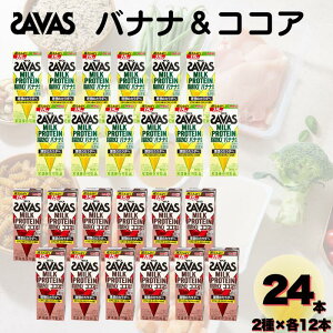 y  z SAVAS ~NveC b0 IׂA\[gZbg 24{ oiiC`S / oiiRRA / C`SRRA | ~NveC ~N oii RRA `R[g