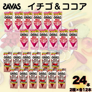 y  z SAVAS ~NveC b0 IׂA\[gZbg 24{ oiiC`S / oiiRRA / C`SRRA | ~NveC ~N oii RRA `R[g