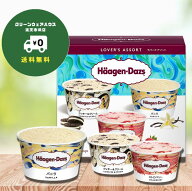【 送料無料 】 ハーゲンダッツ ラバーズアソート 1箱 (6個入り) 小分けパック アイスクリーム スイーツ …