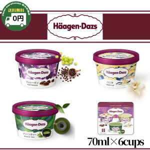 y  z n[Q_bc NVbNA\[g ( 6 ) oj O[eB[ [Y  pbN ACXN[ XC[c   