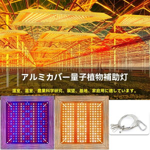 A琬Cg LED A  Cg Px 256 tXyNg k͔|Cg 1000W 2iK ϗtA cCg  ȃGl  ͔|