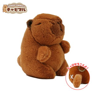 yz`r} XR[sIyہzJso ʂ L[z_[ }XRbg L[`F[ 킢 n ӂӂ v[g Mtg q l lC ObY LN^[ o