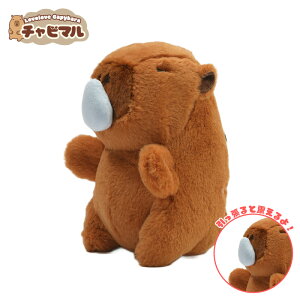 yz`r} pCV[Yy@zJso ʂ L[z_[ }XRbg L[`F[ 킢 n ӂӂ v[g Mtg q l lC ObY LN^[ ob