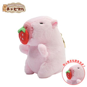 yz`r} P^EXyC`S(sN)zJso ʂ L[z_[ }XRbg L[`F[ 킢 n ӂӂ v[g Mtg q l lC ObY L