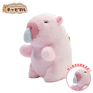 yz`r} tFjbNXy@(sN)zJso ʂ L[z_[ }XRbg L[`F[ 킢 n ӂӂ v[g Mtg q l lC ObY L