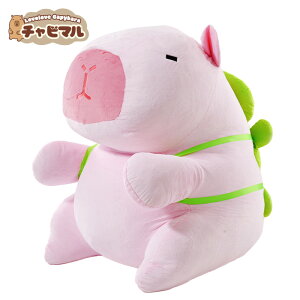 yzX[p[ `r}60cm(sN)yTzJso ʂ L[z_[ }XRbg L[`F[ 킢 n ӂӂ v[g Mtg q l lC ObY LN^