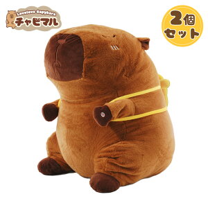 yzy2ZbgzX[p[ `r}90cmyTzJso ʂ L[z_[ }XRbg L[`F[ 킢 n ӂӂ v[g Mtg q l lC ObY 