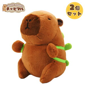 yzy2ZbgzX[p[ `r}23cmyTzJso ʂ L[z_[ }XRbg L[`F[ 킢 n ӂӂ v[g Mtg q l lC ObY L