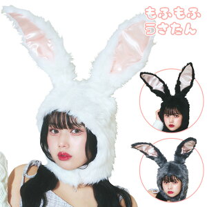 yzӂӂ Ԃ́yzCg/ubN/O[/3FZbg/Pi/2/3/5/10z  DF nEB RXv 蕨 킢  L[g  ETM 