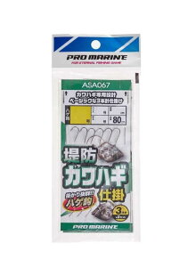 ASA067-6 hJnMd| 6 (3P)