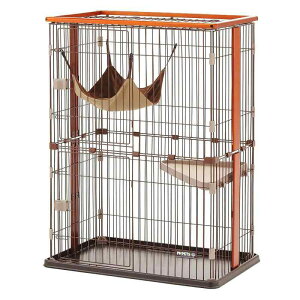 {rAR (Bonbi) EbhT[N Lbg 2i^Cv