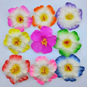 wANbv fB[X  RT[W   čՂ l  r[` C s 킢  zCg IW sN bh CG[ p[v2