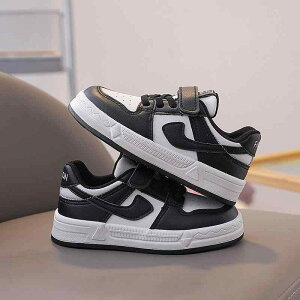 Xj[J[ LbY   p_ V[Y j̎q ̎q qC @ S h h R ʊw ig tďH~