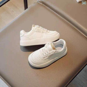 q C LbY Xj[J[  ʊw ^C j̎q ̎q ct ۈ牀 ^ ̈ tH   sN2