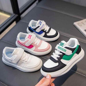 Xj[J[ LbY qC ̎q  [Jbg JWA ʊw i t H~ u[ sNn