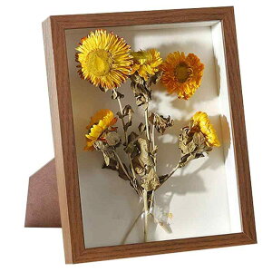 siawadeky �t�H�g�t���[�� ���̊z 2���� �{�b�N�X�t���[�� ���� �N���A�t���[�� �z�� �����K���X �h���C�t�����[ �W�{�� �t�B�M���A�P�[�X ���������� �a���� �����j�� �ސE�j�� 26*12.5*6cm