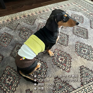 y { z   p ͂܂  ^ ^ j̎q ̎q VjA V  {[_[ ACXN[  hbOEFA p [΍  ̕ ` 