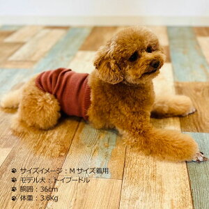 y { z   p ͂܂  ^  j̎q ̎q VjA V n  Ȃ߂炩 VN hbOEFA p  [΍ ~  ̕ ` _bNX 