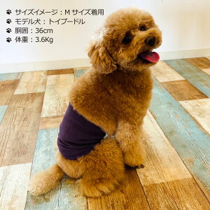 y { z   p ͂܂  ^ ^ j̎q ̎q VjA V  {[_[  Ȃ߂炩 VN hbOEFA p  [΍ ~  ̕ 