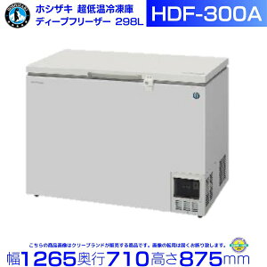 zVUL R} fB[vt[U[iቷⓀɁjHDF-300A 298bg P100V