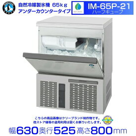 自然冷媒製氷機 ホシザキ IM-65P-21 ハーフキューブ仕様 アンダーカウンタータイプ （旧 IM-65M-NA-21）