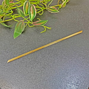 ylR|XzAW ^J Ŕ \ A_[o[20cm l[v[g c[nEX [