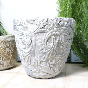 AxXN|bgM  ꌊ AeB[N a18.8cm K[f oPc Jo[ K[f G K[f pi v^[ [ Jo[ v^[ Aؔ