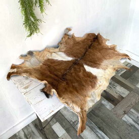 毛付き ゴートレザー 原皮 山羊革 一枚革 ブラウン 未裁断 レザークラフト マット インテリア ファブリック 天然素材