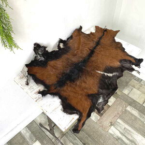 S[gU[ ѕt Rrv 1_ 1v nR uEn U[Ntg }bg vޗ vf hc0002