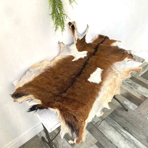 S[gU[ goat є }bg 1_ 1v Rr nR ^ vޗ vf U[Ntg