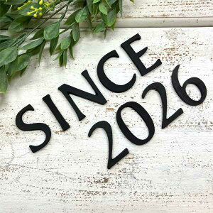 yz ^J ubN SINCE2026 Zbg 啶 ^J ^[ io[ At@xbg Ŕ \D l[ lR|X