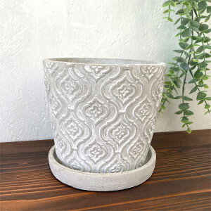 VFEEh|bgS ꌊ Zg|bg ϗtA Aؔ K[fG