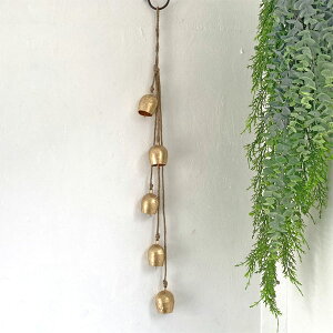 xL 5A hAx AeB[N JEx  i`G Ǌ| 