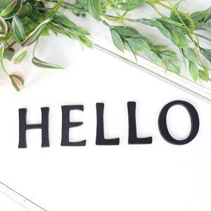ylR|Xz^J  45mm HELLO Zbg 啶 H E L L O ^[ ^J ^[ io[ 啶 At@xbg Ŕ \D l[ c[nEX [