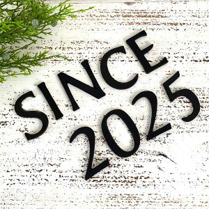 ^J At@xbg io[Zbg SINCE2025 ubN 啶 \D Ŕ TCv[g CeA  DIY JtF 