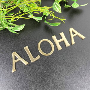 yz^J S[h 45mm ALOHA Zbg 啶 ^J ^[ 啶 Ŕ \D l[ lR|X [
