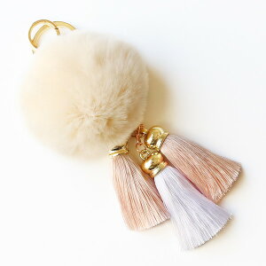 t@[ `[  fB[X ӂӂ̃t@[킢||`[y1397079 p `[ t@[ rbgt@[  ӂӂ ^bZ tW L[z_[ Mt