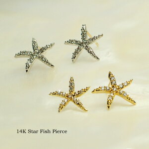 sAX fB[X K14 X^[ tBbV qgf sAX AM[ Ή WRjA ޏyCG[ S[hz NX}X v[g av[g FB Mtg LO 