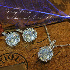 lbNX CO sAX Zbg AM[ Ή fB[X Vv 20 uh 50 l v`i d ig fCW[ NE ޏ a  NX}X v[g