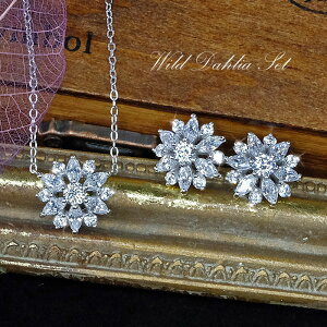 lbNX sAX CO Zbg AM[ Ή fB[X Vv 20 uh 50 l v`i d ig Ch _A ޏ a  NX}X v[g 