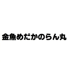 金魚めだかのらん丸