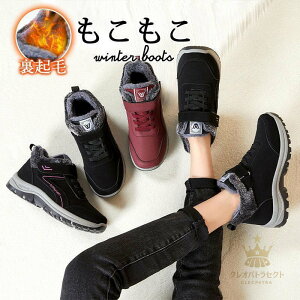 Xj[J[ [gu[c fB[X N h g ےg y V[Y ₷ V[gu[c ₷ JWA  h ~