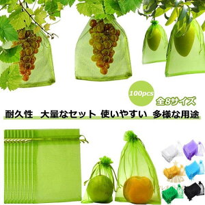 Ԃǂ 񂲑 ʕlbg 100 ʎ یlbg h lbg 悯lbg 悯lbg т  Ԃǂ В 悯lbg ʎ