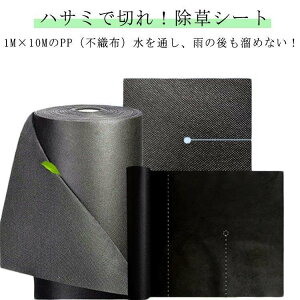 ϋv hV[g hV[g G΍ V[g h~  sDz GV[g 悯  |p   G  V[g _