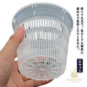 vX`bN 10ZbgIϗtA m Aؔ O a14cm Ӓ c|bg  t  A Ӓ̐Aւ  Aؔ