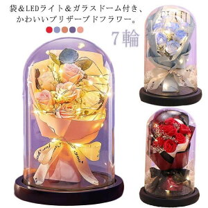 KXh[ } KXP[X \[vt[ j vU[uht[  Mtg a ̓ v[g zCgf[ Əj ̓