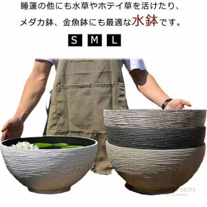 @  vX`bN ANA[     萅 A P@zeC Aؔ  ^