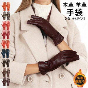  fB[X v h h O[u xbg U[O[u tFCNU[ g ] ~ X}z ʋ h oCN JbRCC  AEghA    ĂԂ 